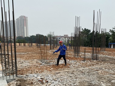 荔湾白蚁验收中心白蚁防治从打地基就要开始